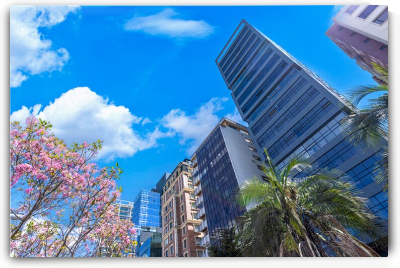 Quito Ecuador. Carolina Park modern architecture in Quito central business district by Elijah Lovkoff