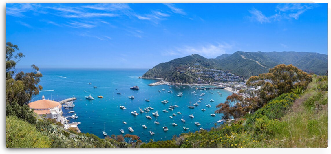 USA California panoramic view of Catalina Island Bay and Avalon. Chimes Lookout.  by Elijah Lovkoff