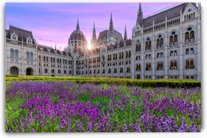 Hungary panoramic view of the Parliament and Budapest city skyline of historic center by Elijah Lovkoff