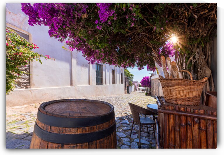 Uruguay colonial streets of Colonia Del Sacramento in historic center of Barrio Historico by Elijah Lovkoff