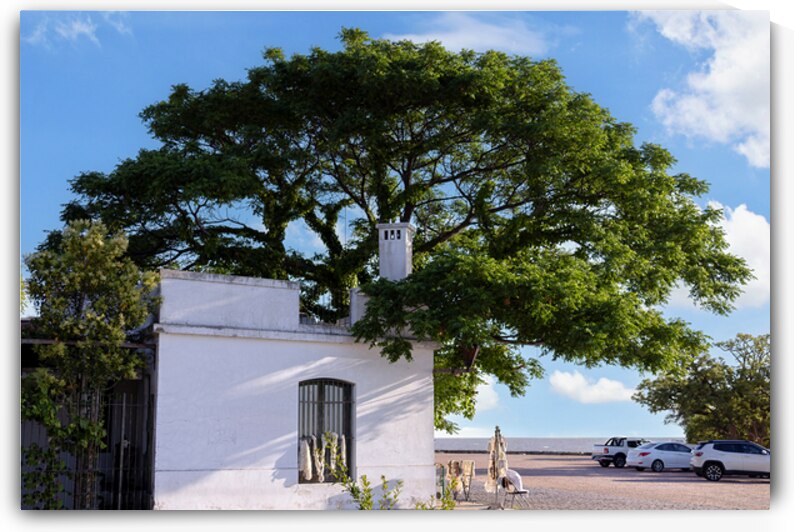 Uruguay colonial streets of Colonia Del Sacramento in historic center of Barrio Historico by Elijah Lovkoff