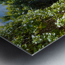 Israel Jerusalem old narrow streets of Nahlaot historic neighborhood with many small synagogues Metal print