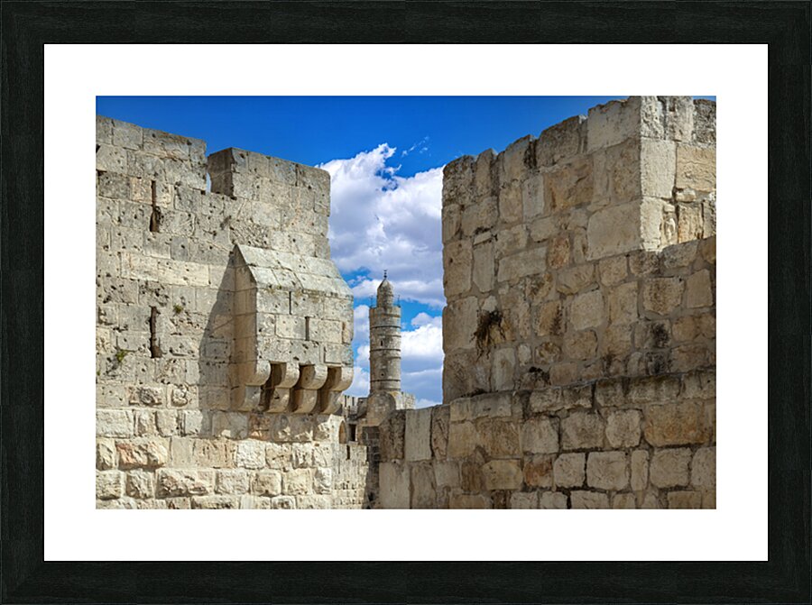  Fine Art print