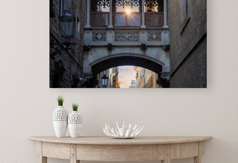 Spain Cathedral of Barcelona in Las Ramblas and Bridge of Sighs Pont del Bisbe by Elijah Lovkoff