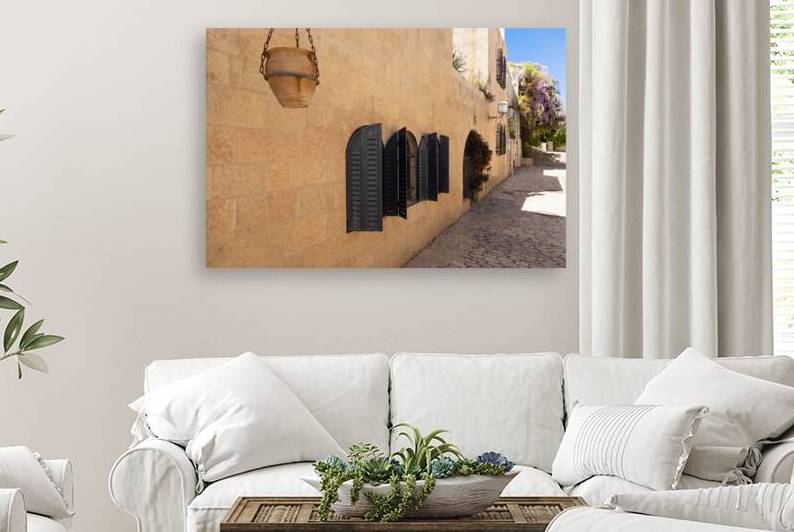 Jerusalem Israel Mishkenot Shaananim street scenic views of Jerusalem Old City and Judean Desert by Elijah Lovkoff