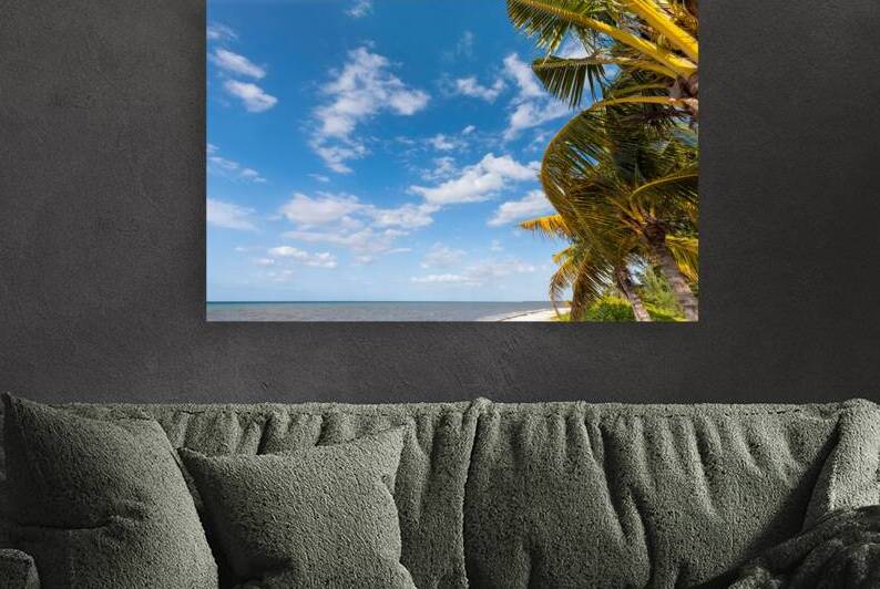 Beaches playas and hotels of Cozumel island tourism and vacation destination on Mayan riviera by Elijah Lovkoff