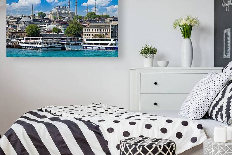 Bosphorus strait in Istanbul Bosporus tour boats and views of Istanbul mosques and historic center by Elijah Lovkoff