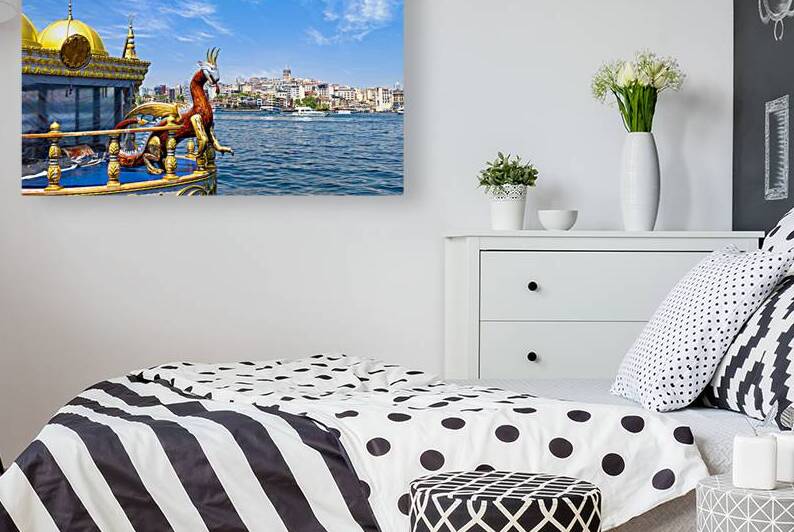 Bosphorus strait in Istanbul Bosporus tour boats and views of Istanbul mosques and historic center by Elijah Lovkoff