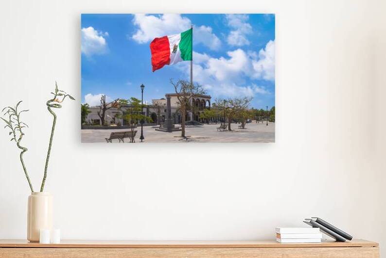 Los Cabos San Jose Del Cabo Mexico Mexican tricolor national striped flag proudly waving at mast by Elijah Lovkoff