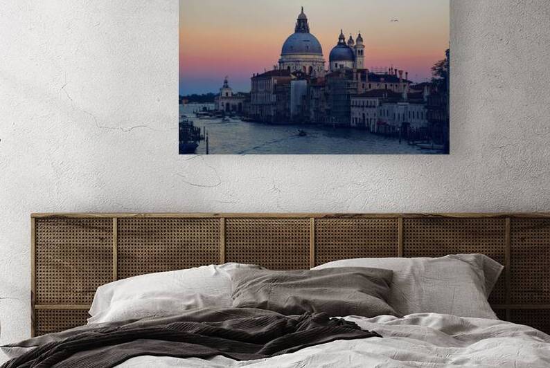 Santa Maria della Salute Cathedral   view from Academia bridge by Elijah Lovkoff