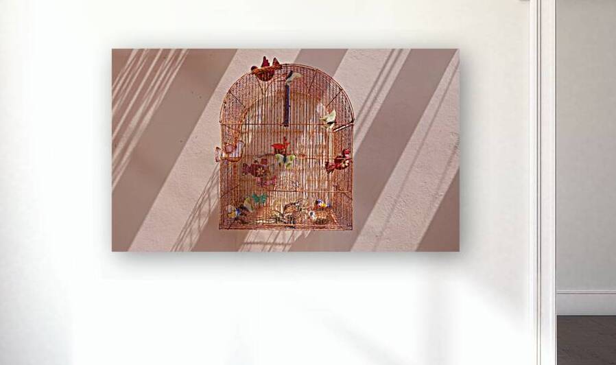 Mexican birdcage decoration in the streets of Mazatlan Historic Center Mexico by Elijah Lovkoff