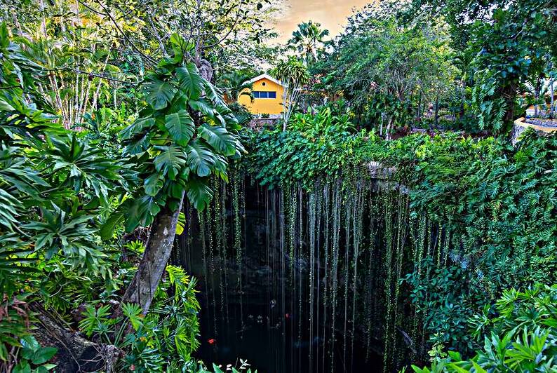 Ik Kil Cenote located in the northern center of the Yucatan Peninsula a part of the Ik Kil Archeological Park near Chichen Itza by Elijah Lovkoff