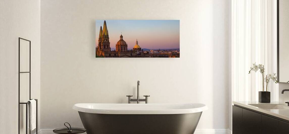 Landmark Guadalajara Central Cathedral Cathedral of the Assumpt by Elijah Lovkoff