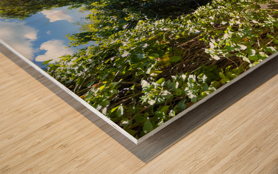 Israel Jerusalem old narrow streets of Nahlaot historic neighborhood with many small synagogues Wood print