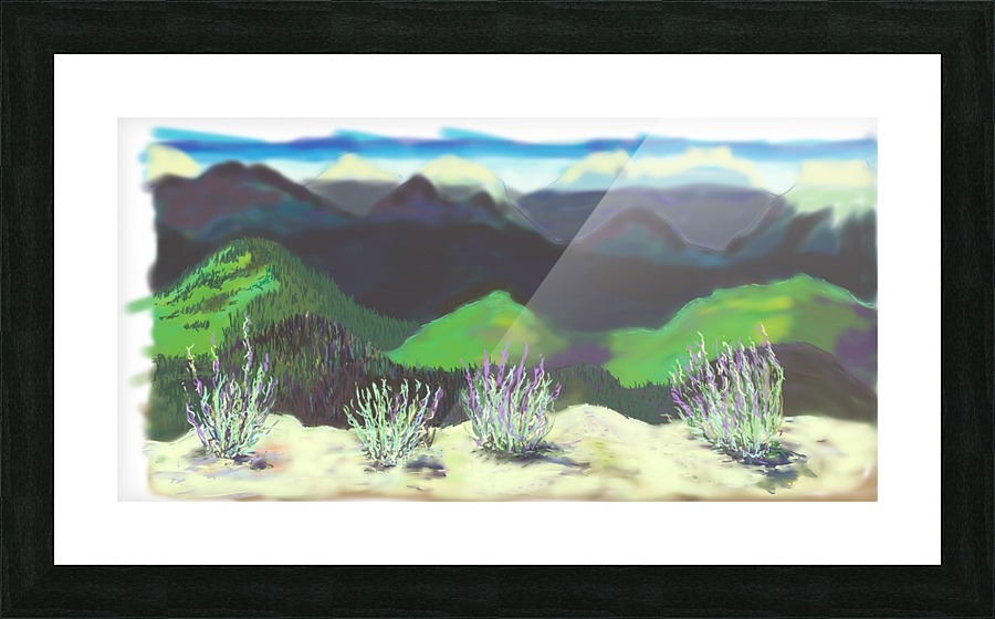 Image0195 Picture Frame print