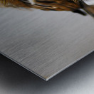 Eurasian tree sparrow Metal print