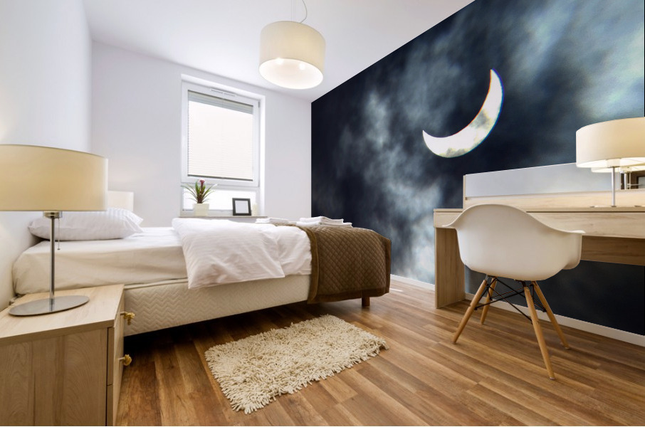 Eclipse 2020 Mural print