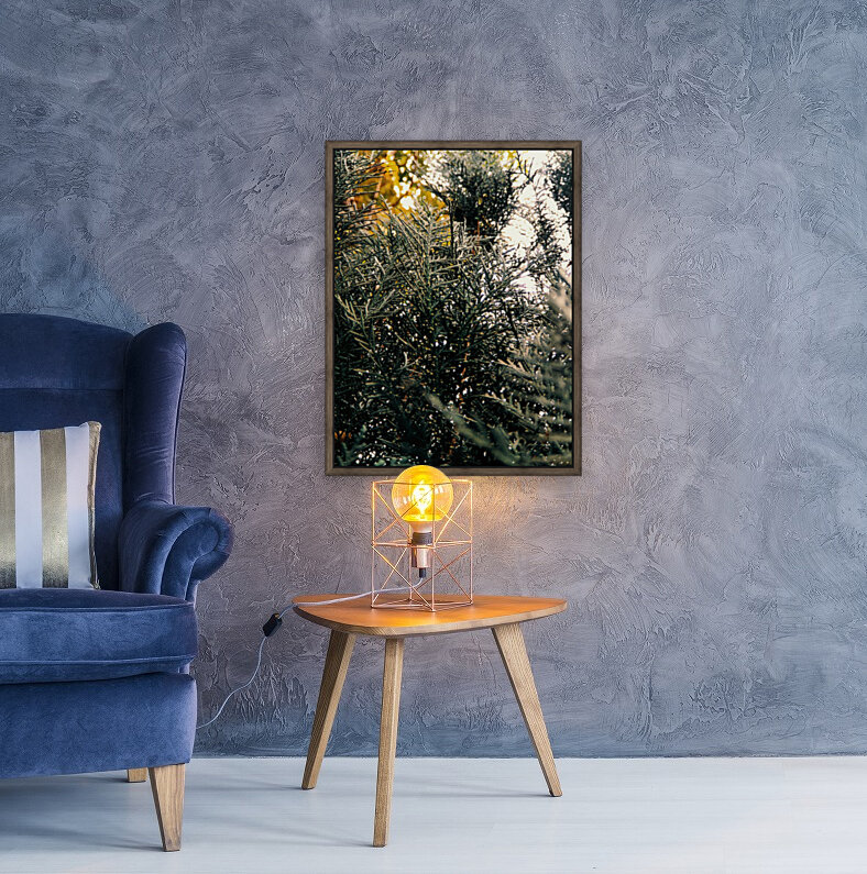 Layland Cypress Reproduction