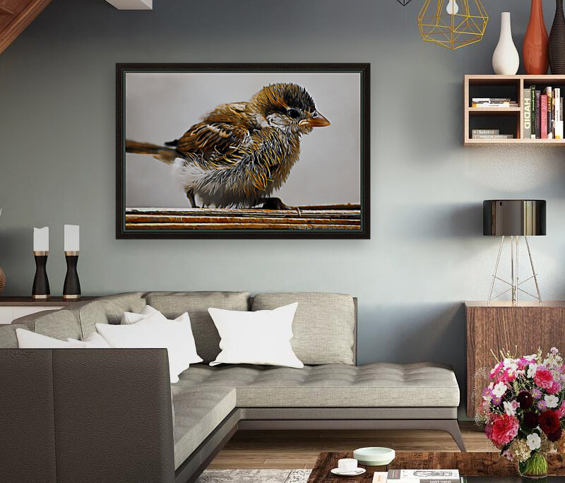 Eurasian tree sparrow Reproduction