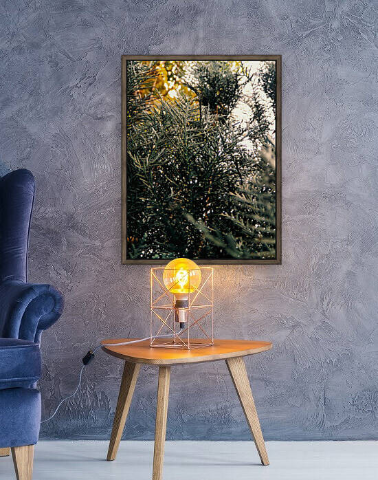 Layland Cypress by Vicky Sadhu