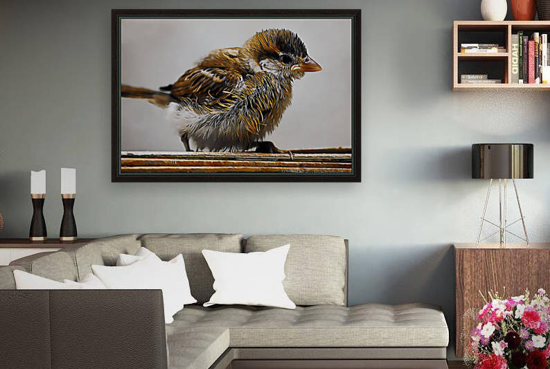 Eurasian tree sparrow by Vicky Sadhu