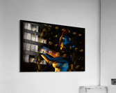 Hibiki Acrylic Print