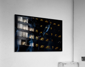 Subspecies Acrylic Print