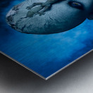 Uroplatus Metal print
