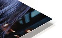 Raven HD Metal print