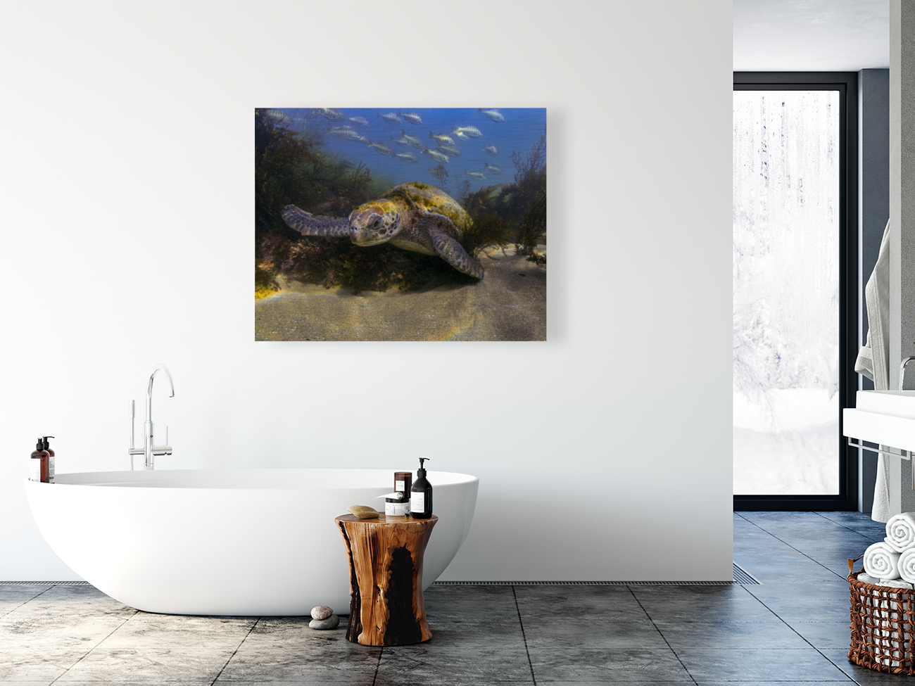 Green Sea Turtle Reproduction
