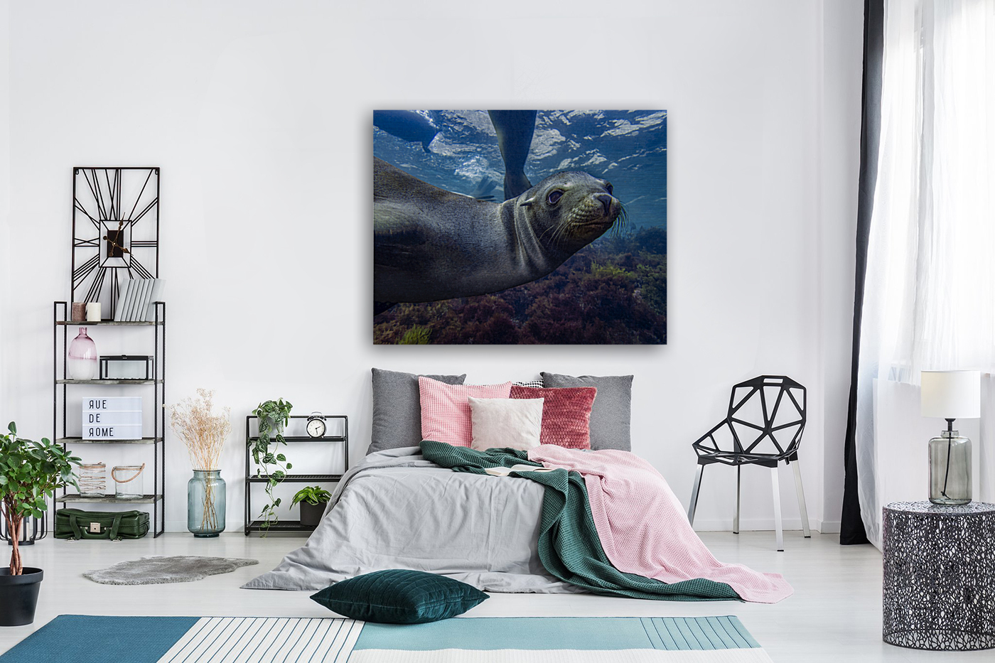 Sea Lion Reproduction