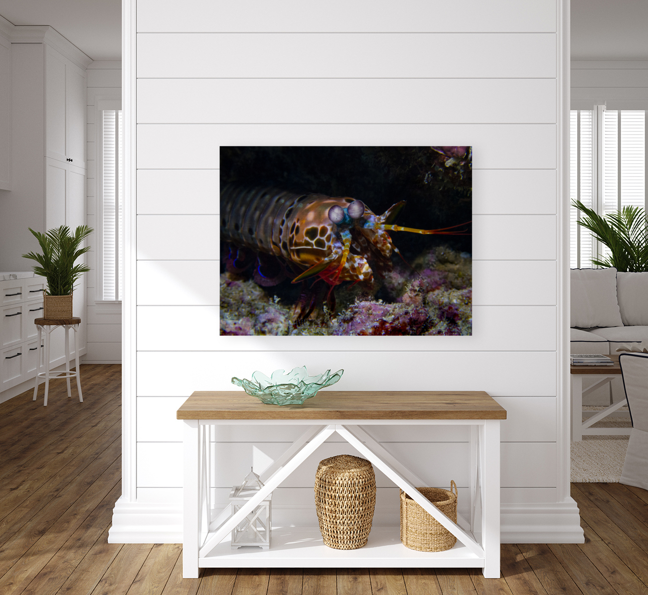 Peacock Mantis Shrimp Reproduction