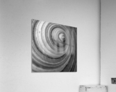 Conch 3 Acrylic Print