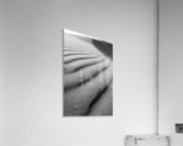 Dune Acrylic Print