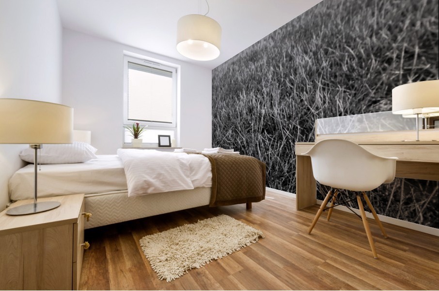 Feather in the Grass Mural print
