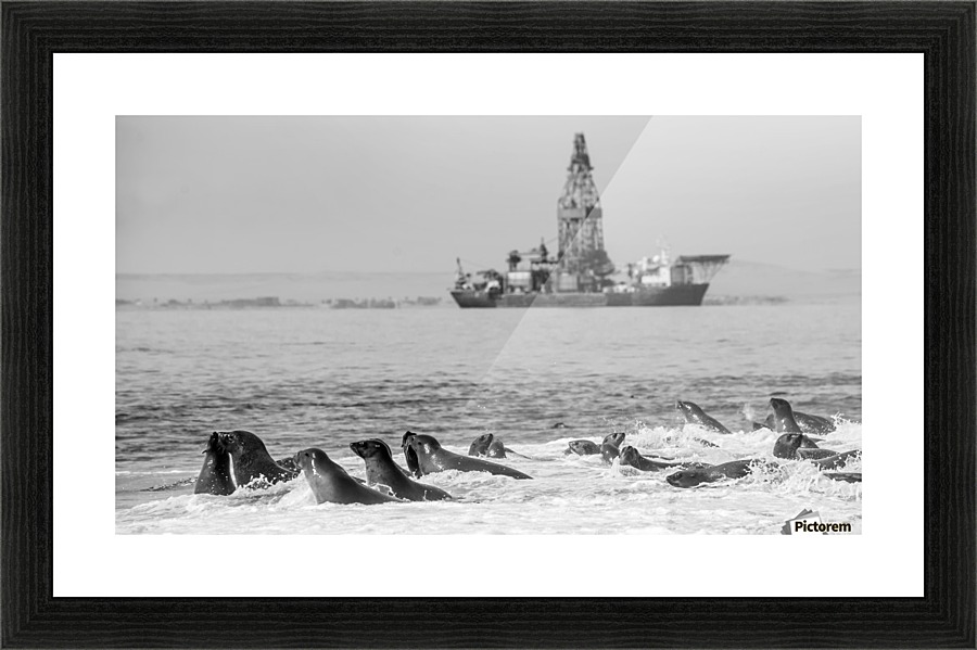  Fine Art print