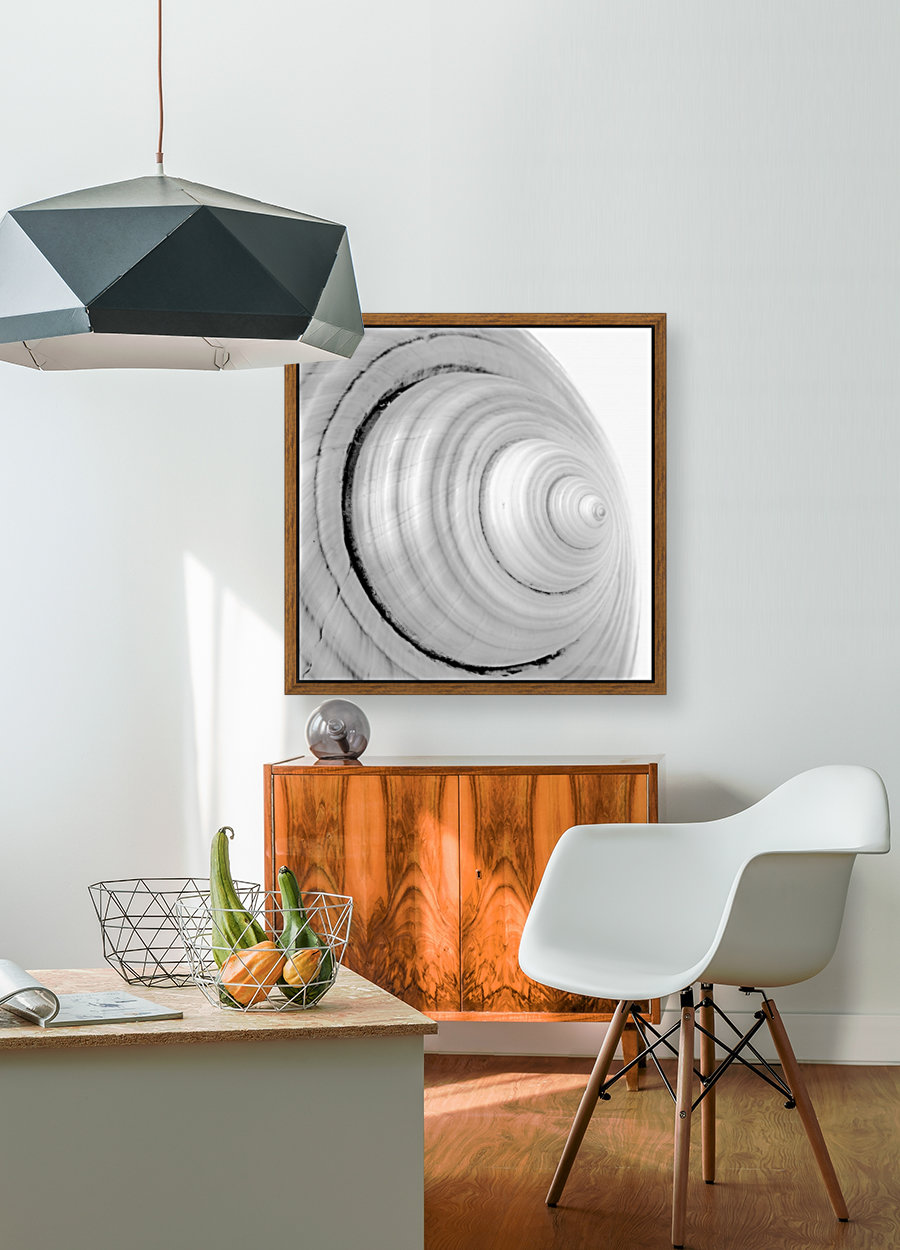 Conch 2 Reproduction