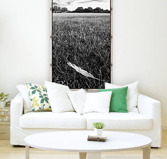 Feather in the Grass by Jacques Jacobsz