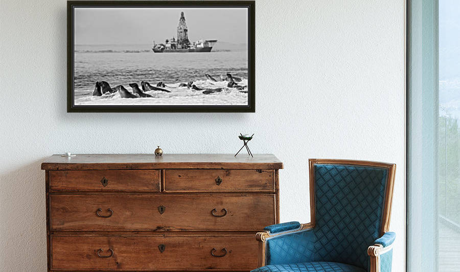 Seals by Oil Drill  by Jacques Jacobsz