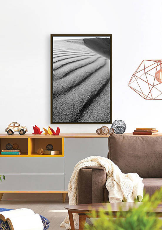 Dune Reproduction