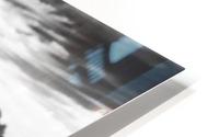 Feather in the Grass HD Metal print