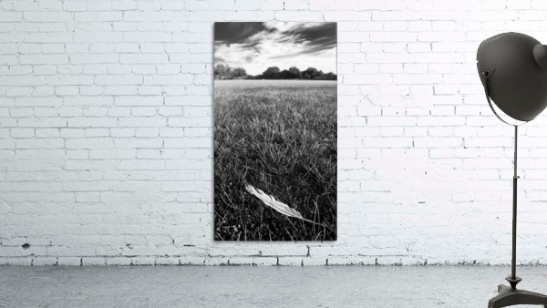 Feather in the Grass Wall Preview