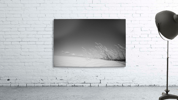 Dune Grass Wall Preview