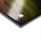 Prairie Lights: Aurora Over the Farm Acrylic print