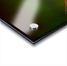 Ghost Tree Under the Northern Lights Acrylic print