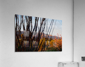 painted desert Acrylic Print