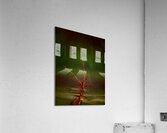 Ghost Tree Under the Northern Lights Acrylic Print