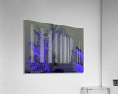 whispers Acrylic Print
