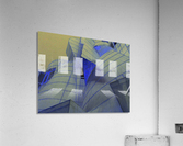 Night Vision Acrylic Print