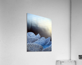 Lotus Blossom Acrylic Print